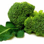 Broccoli Groene Calabria
